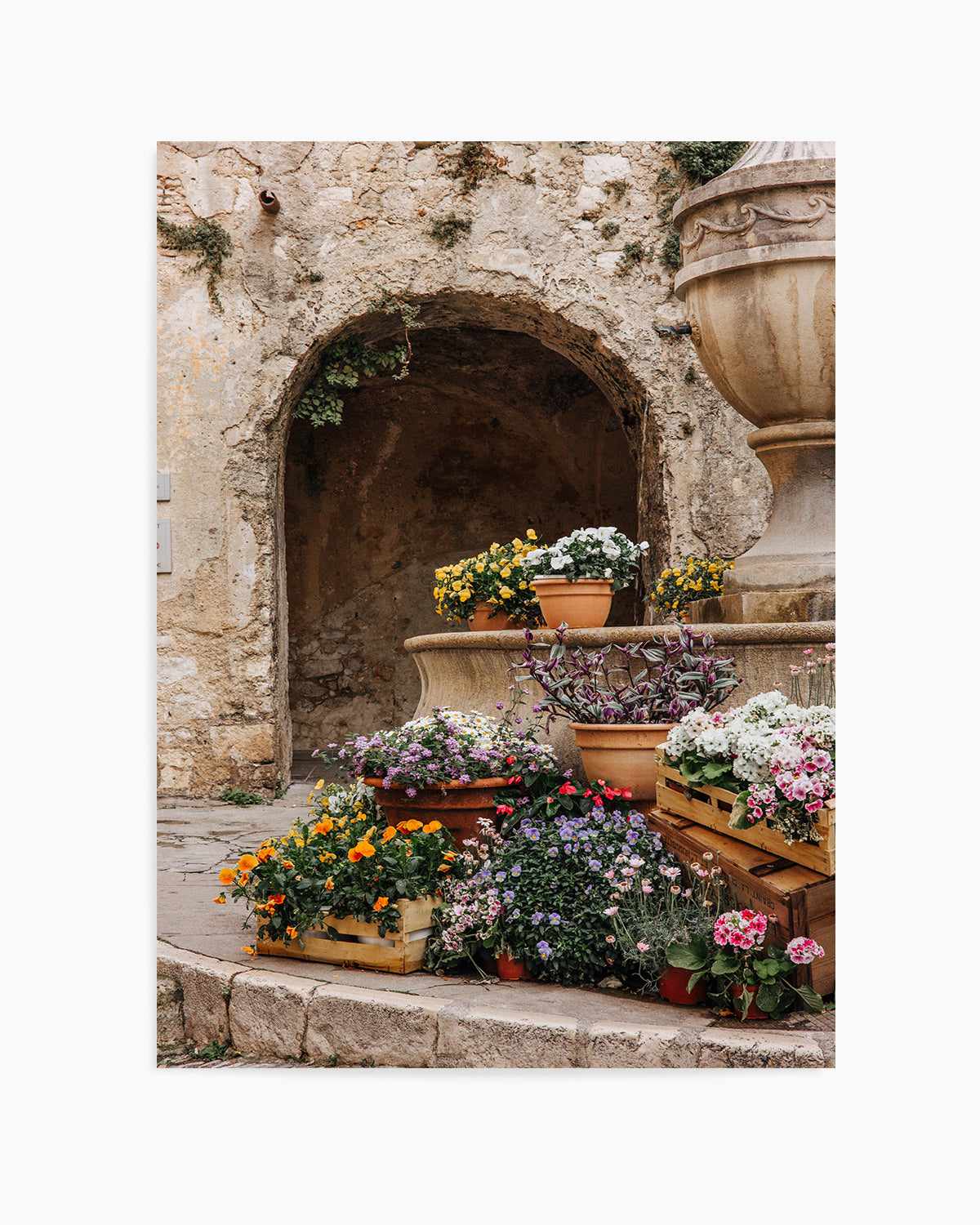 Bloom Provence by Jovani Demetrie Art Print