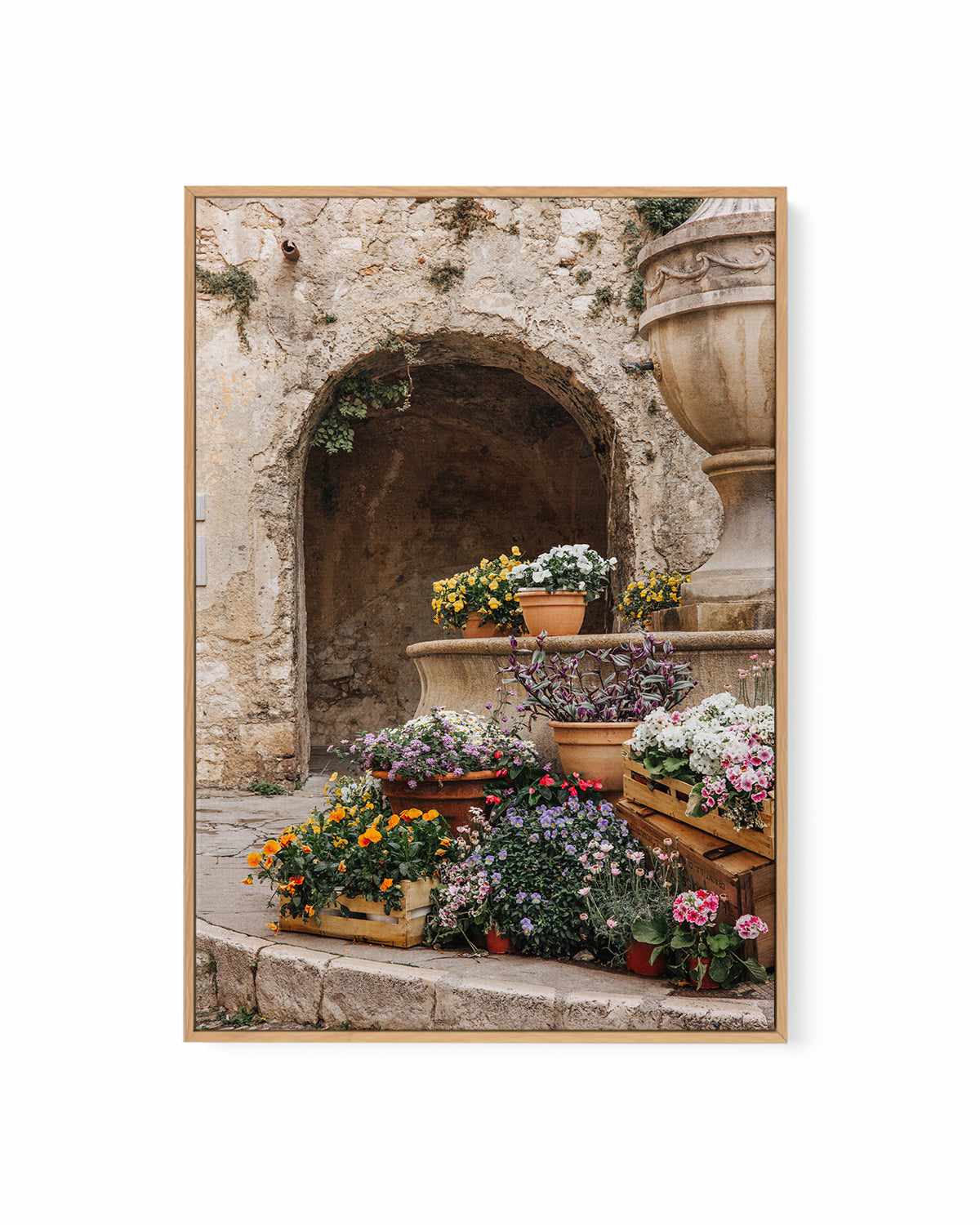 Bloom Provence by Jovani Demetrie | Framed Canvas Art Print