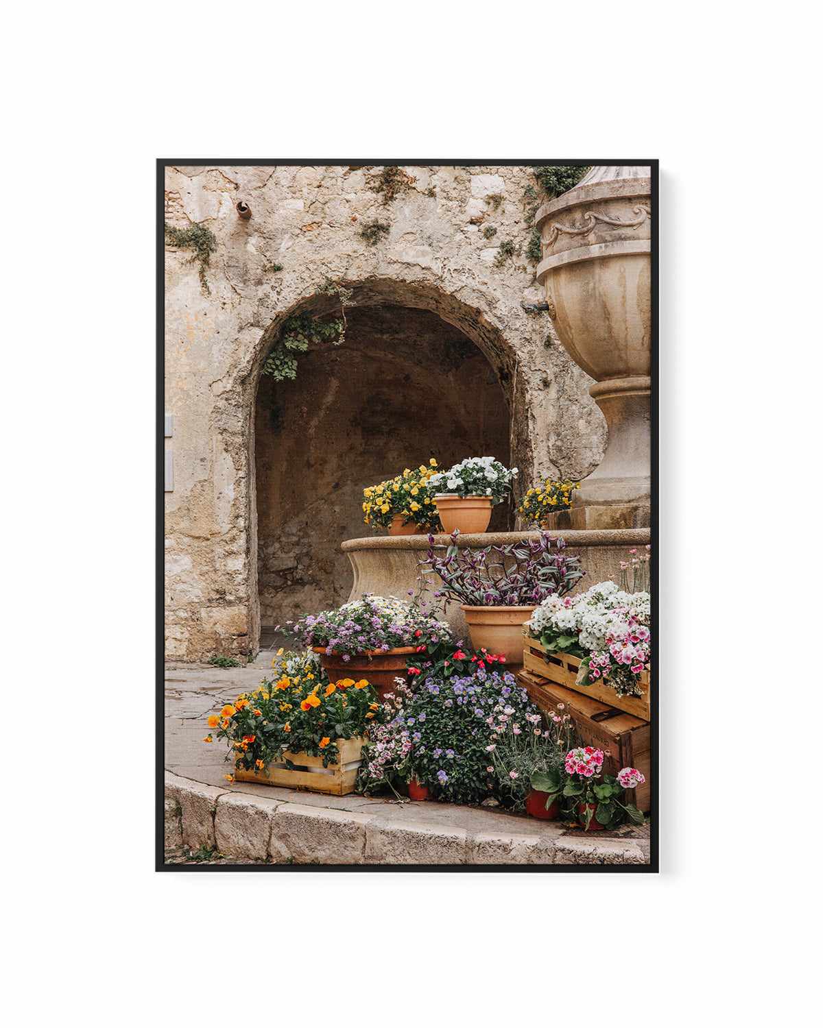 Bloom Provence by Jovani Demetrie | Framed Canvas Art Print