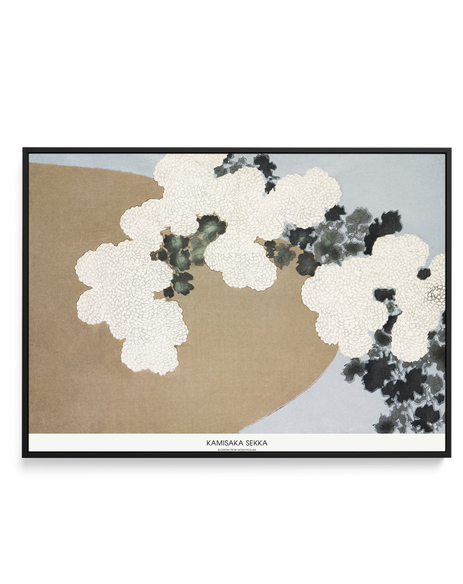 Blossom From Momoyogusa | Framed Canvas Art Print