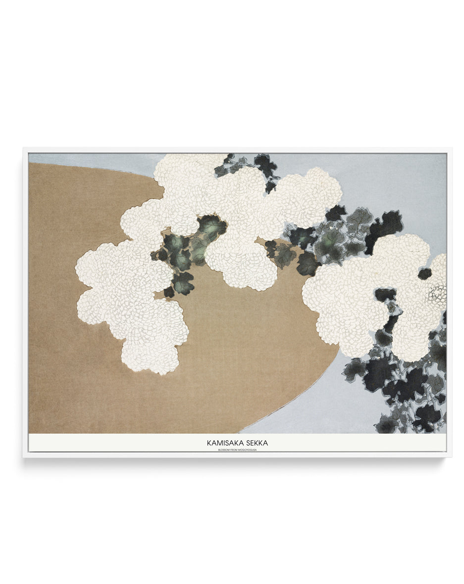 Blossom From Momoyogusa | Framed Canvas Art Print