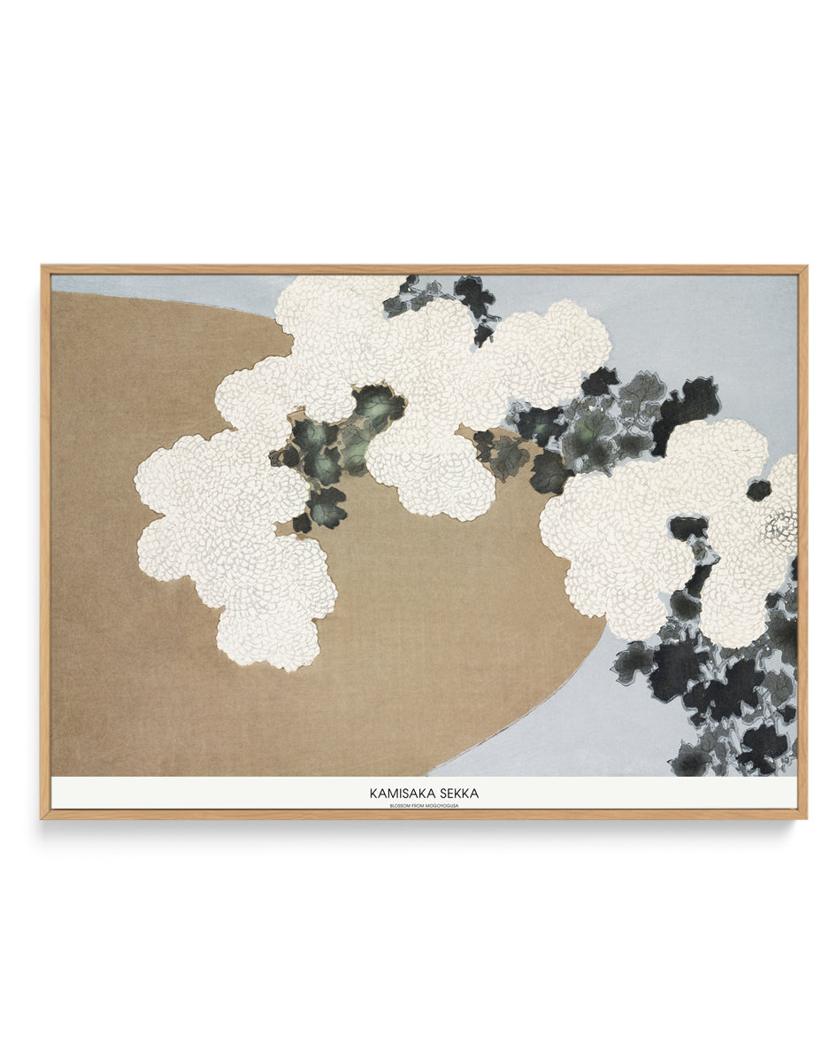 Blossom From Momoyogusa | Framed Canvas Art Print