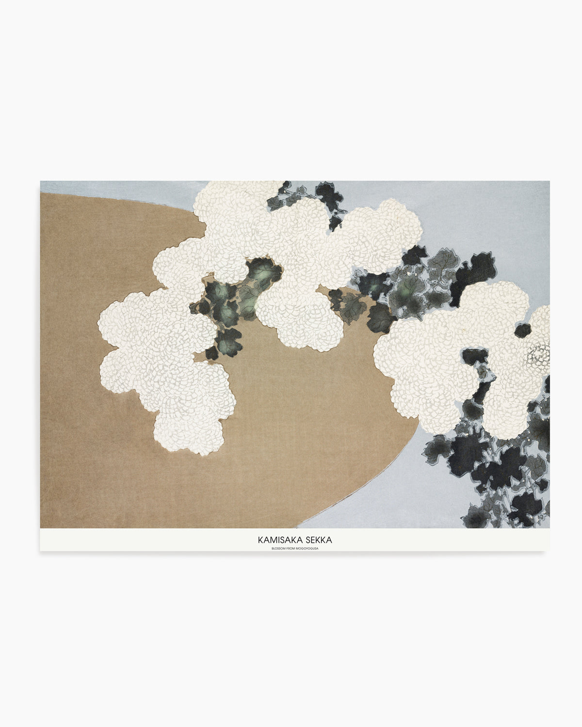 Blossom From Momoyogusa | Art Print