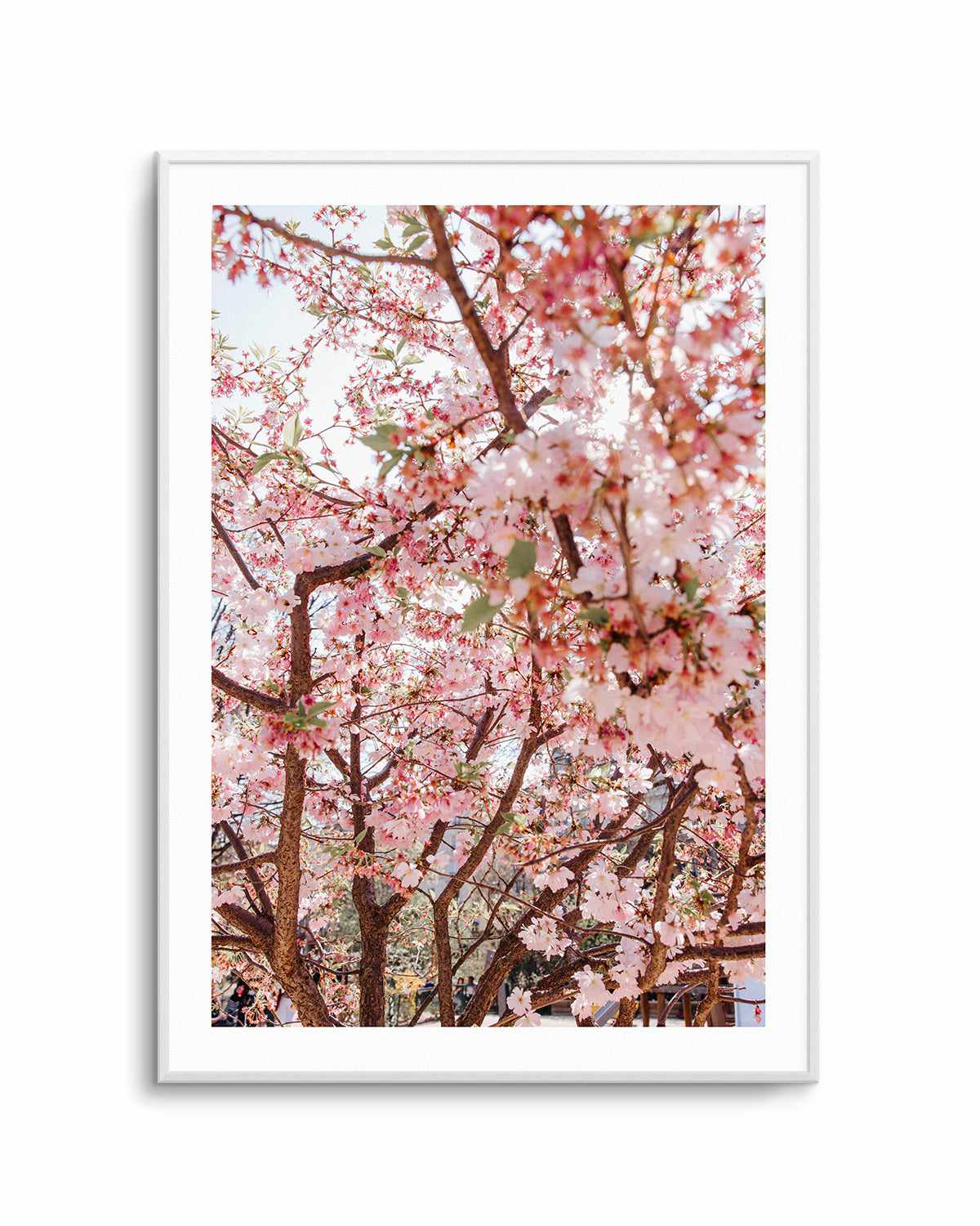 Blossoms in Paris by Jovani Demetrie Art Print