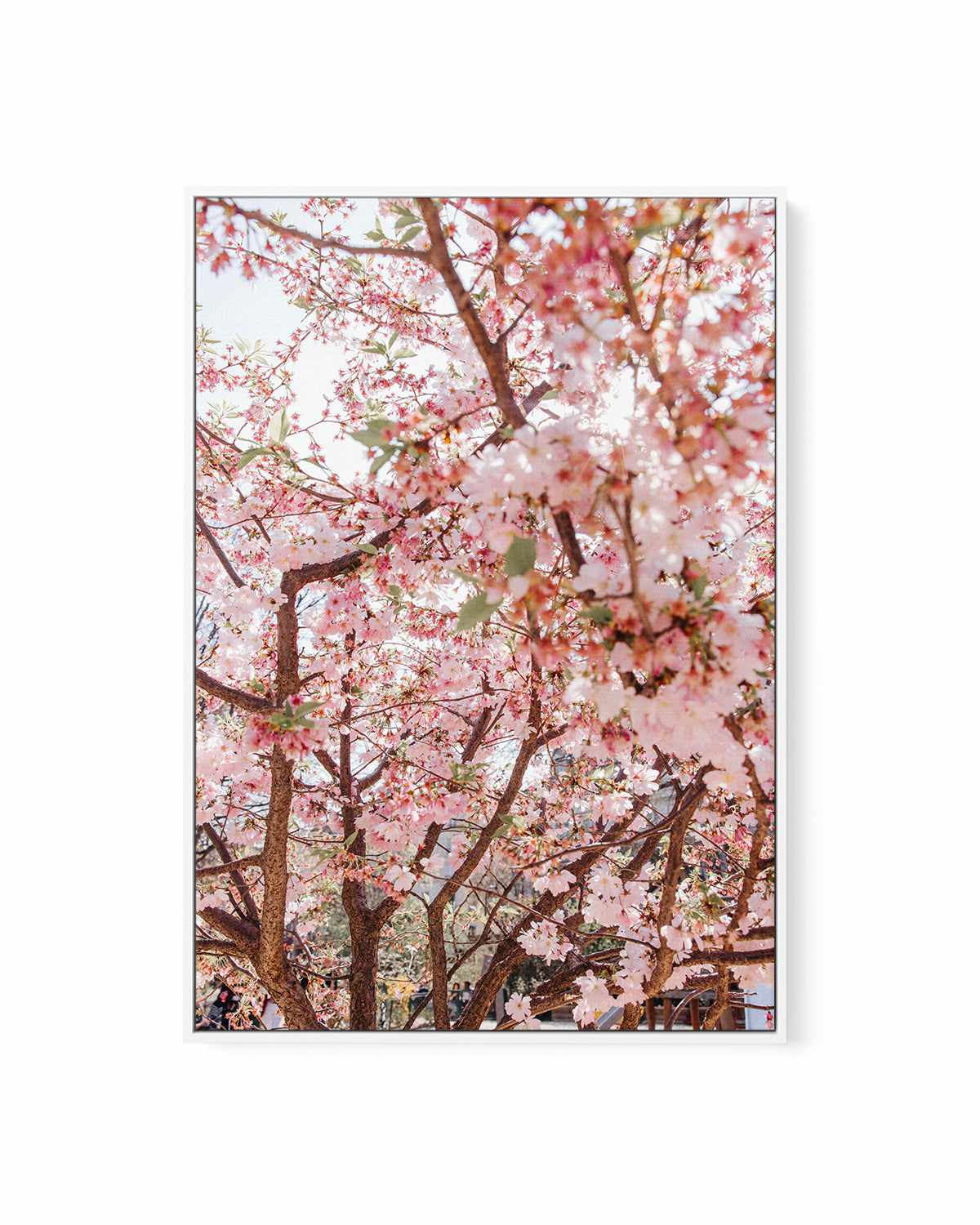 Blossoms in Paris by Jovani Demetrie | Framed Canvas Art Print