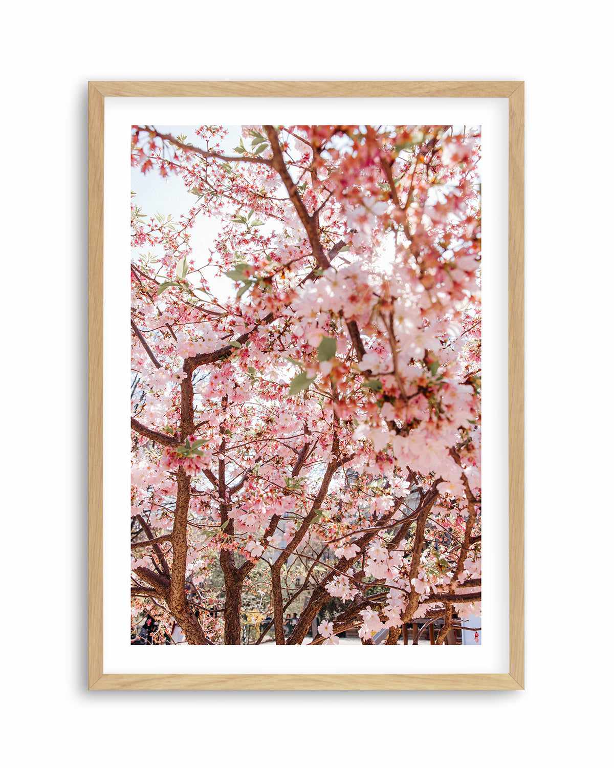 Blossoms in Paris by Jovani Demetrie Art Print