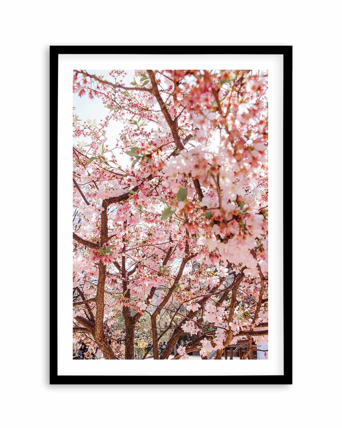 Blossoms in Paris by Jovani Demetrie Art Print