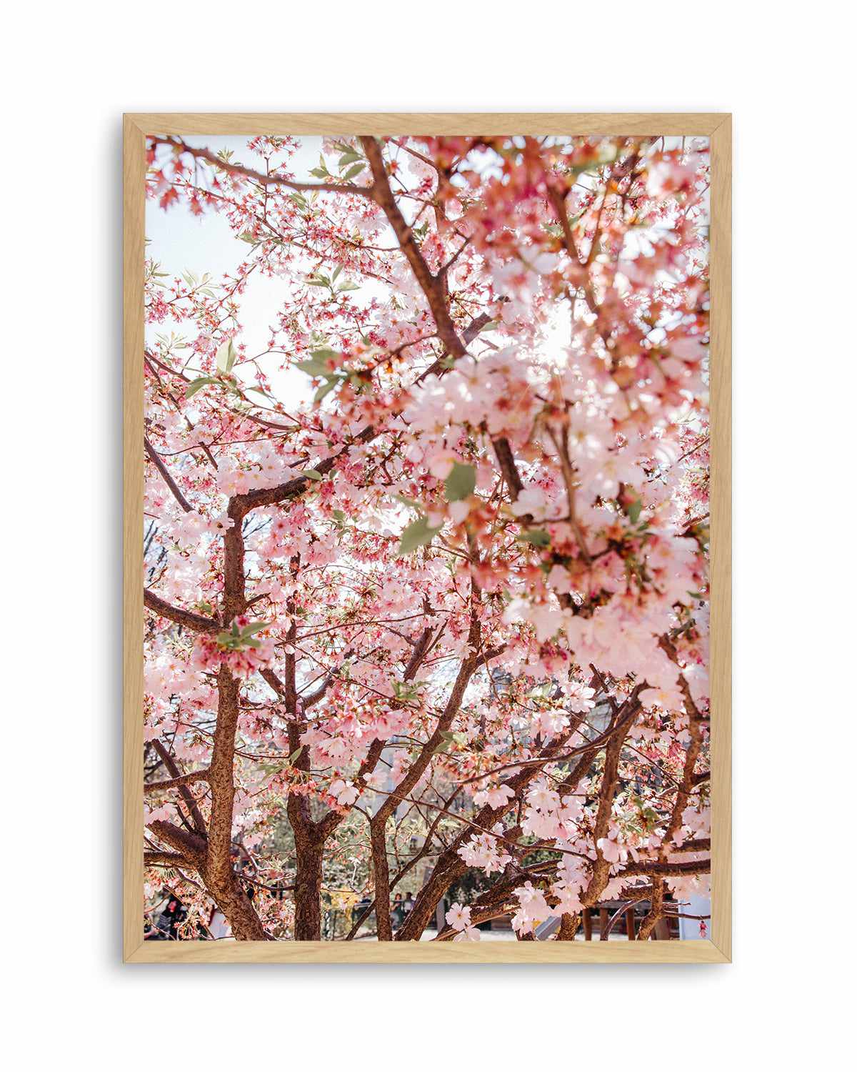 Blossoms in Paris by Jovani Demetrie Art Print