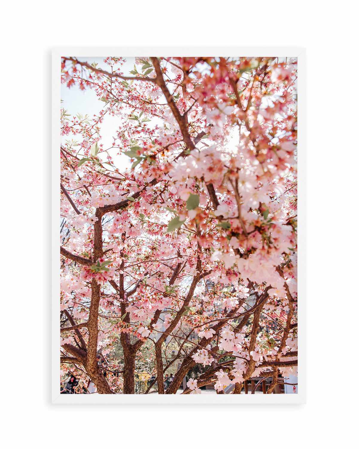 Blossoms in Paris by Jovani Demetrie Art Print