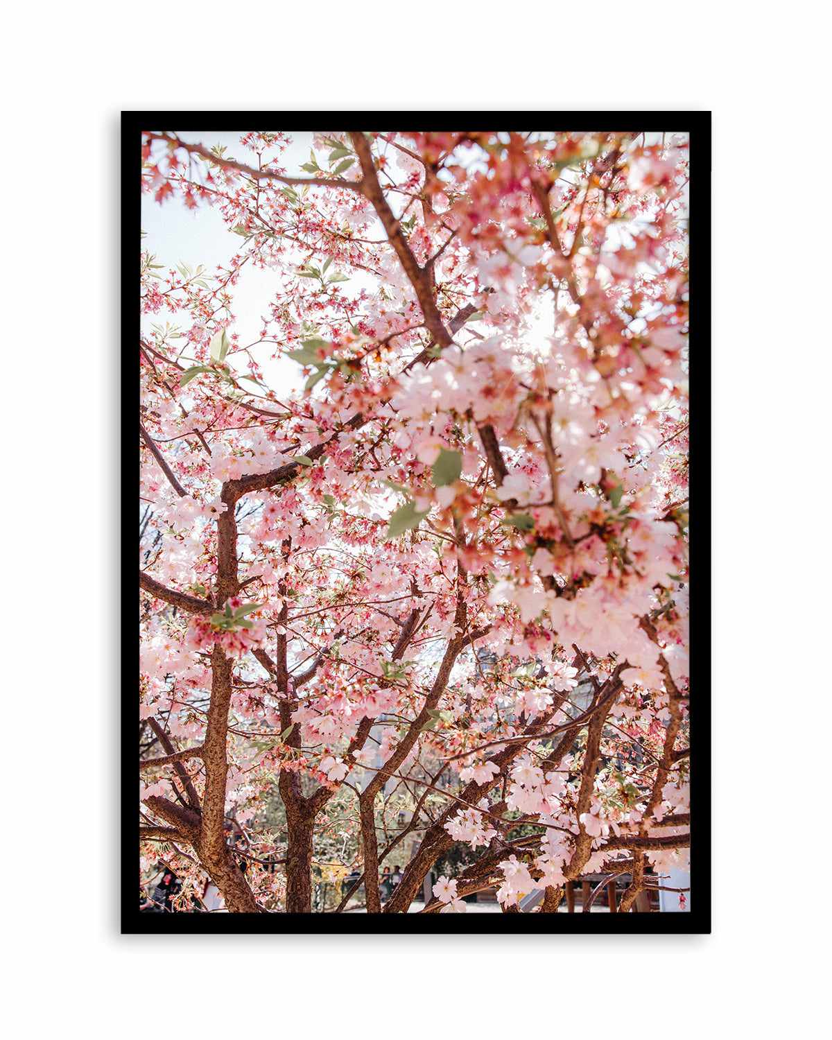 Blossoms in Paris by Jovani Demetrie Art Print