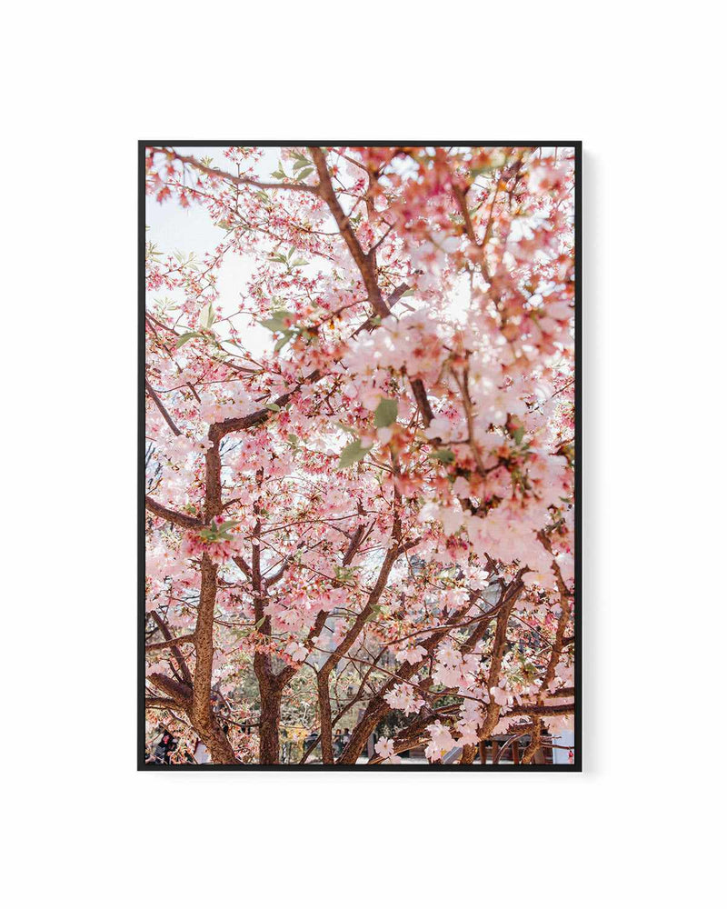 Blossoms in Paris by Jovani Demetrie | Framed Canvas Art Print