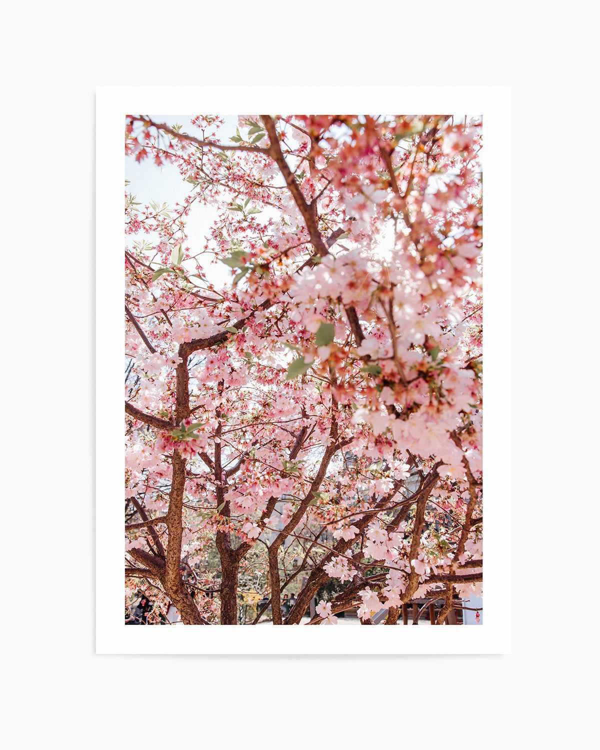 Blossoms in Paris by Jovani Demetrie Art Print