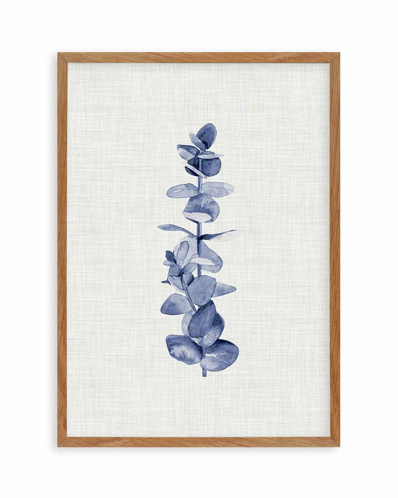 Blue Eucalyptus Art Print
