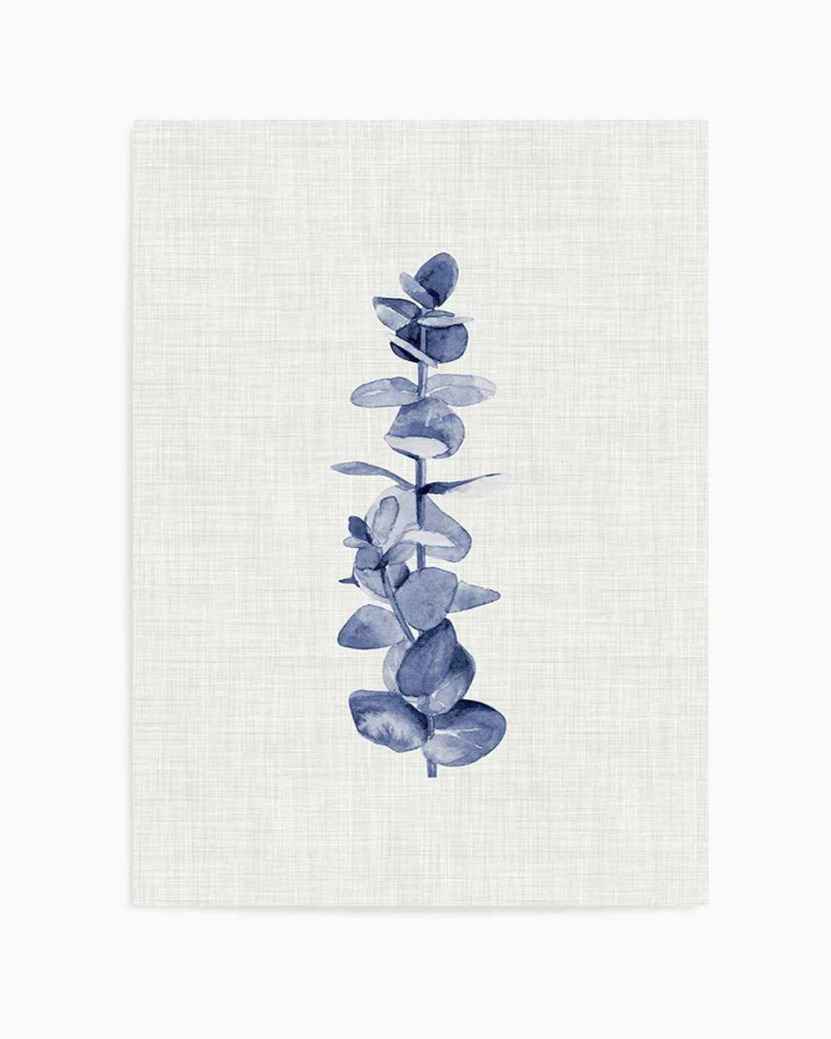 Blue Eucalyptus Art Print