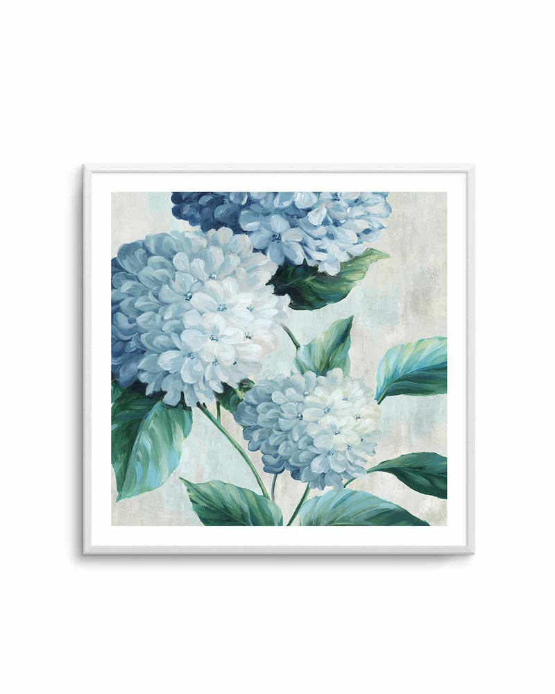 Blue Hydrangea Blooms I Art Print