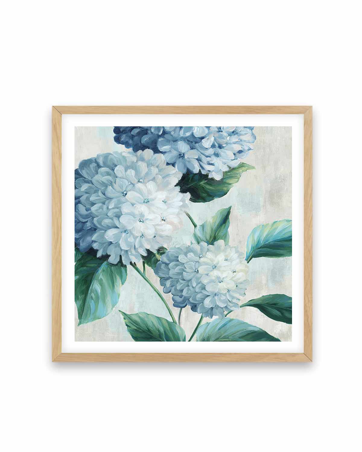 Blue Hydrangea Blooms I Art Print