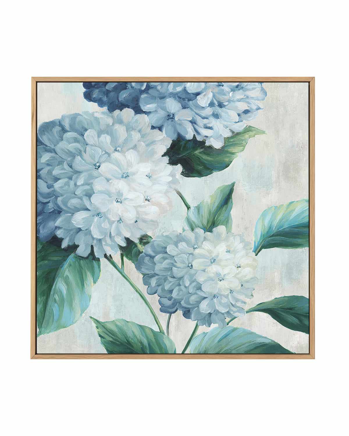 Blue Hydrangea Blooms I | Framed Canvas Art Print