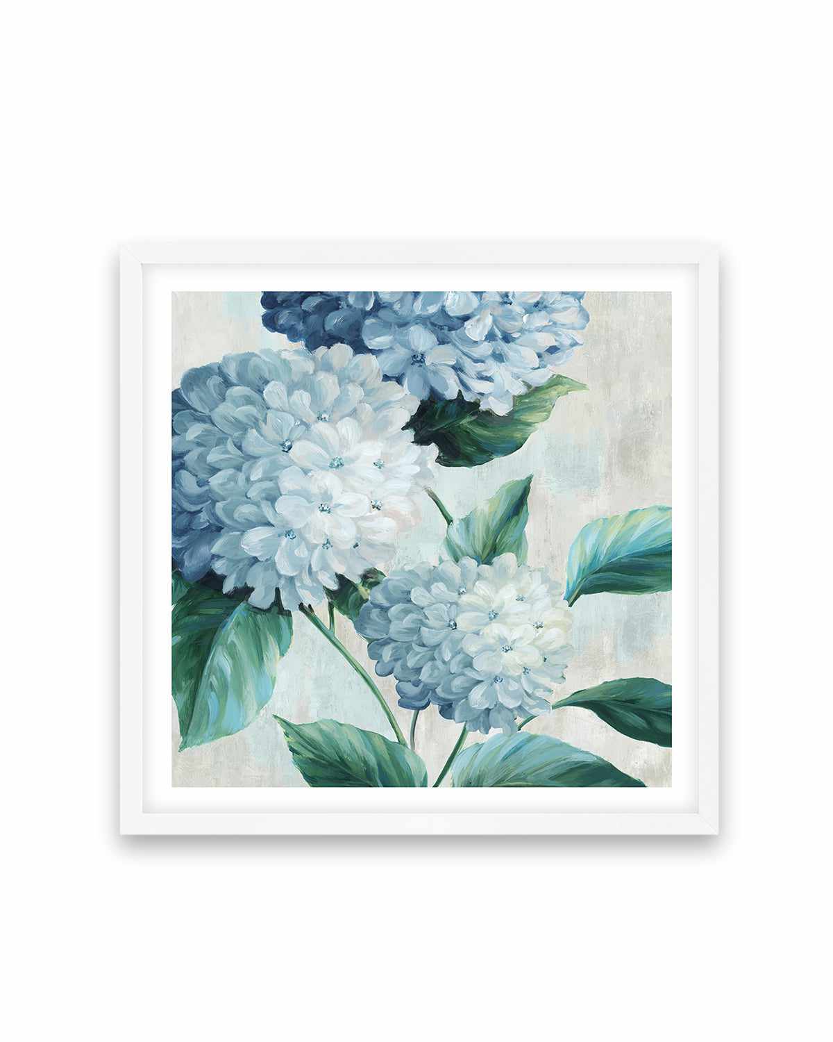 Blue Hydrangea Blooms I Art Print