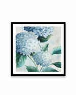 Blue Hydrangea Blooms I Art Print