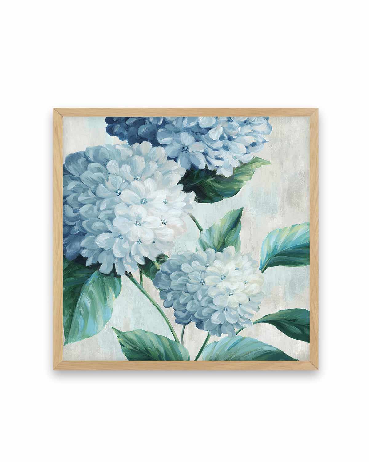 Blue Hydrangea Blooms I Art Print