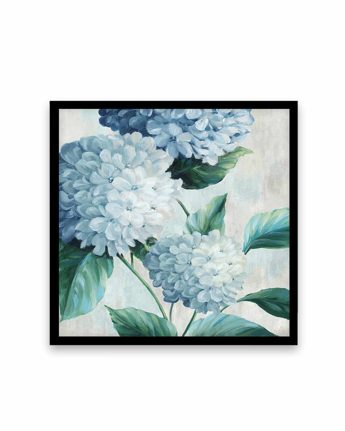 Blue Hydrangea Blooms I Art Print