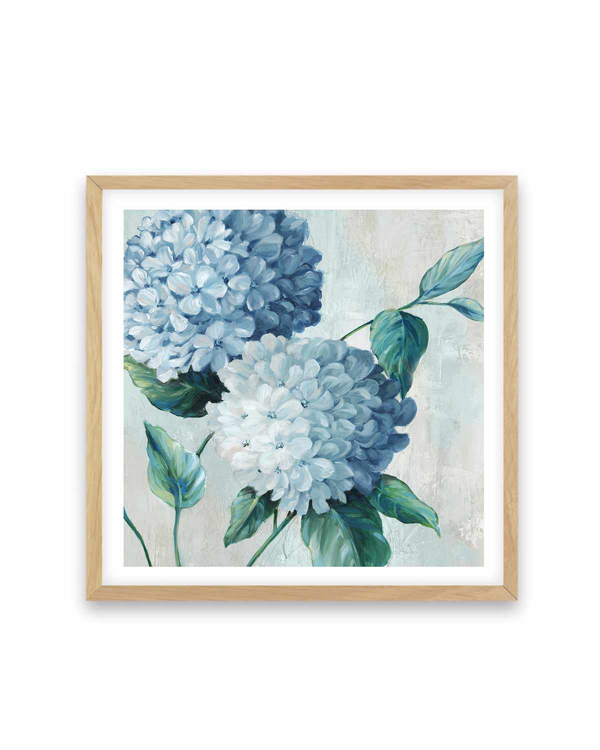 Blue Hydrangea Blooms II Art Print