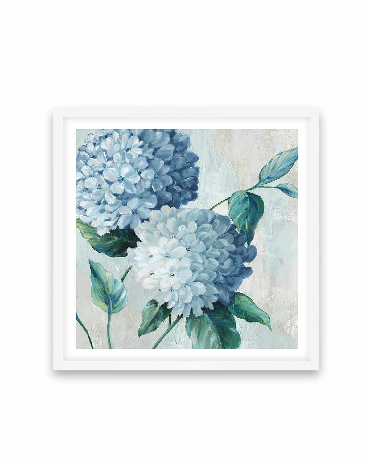 Blue Hydrangea Blooms II Art Print