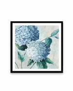Blue Hydrangea Blooms II Art Print