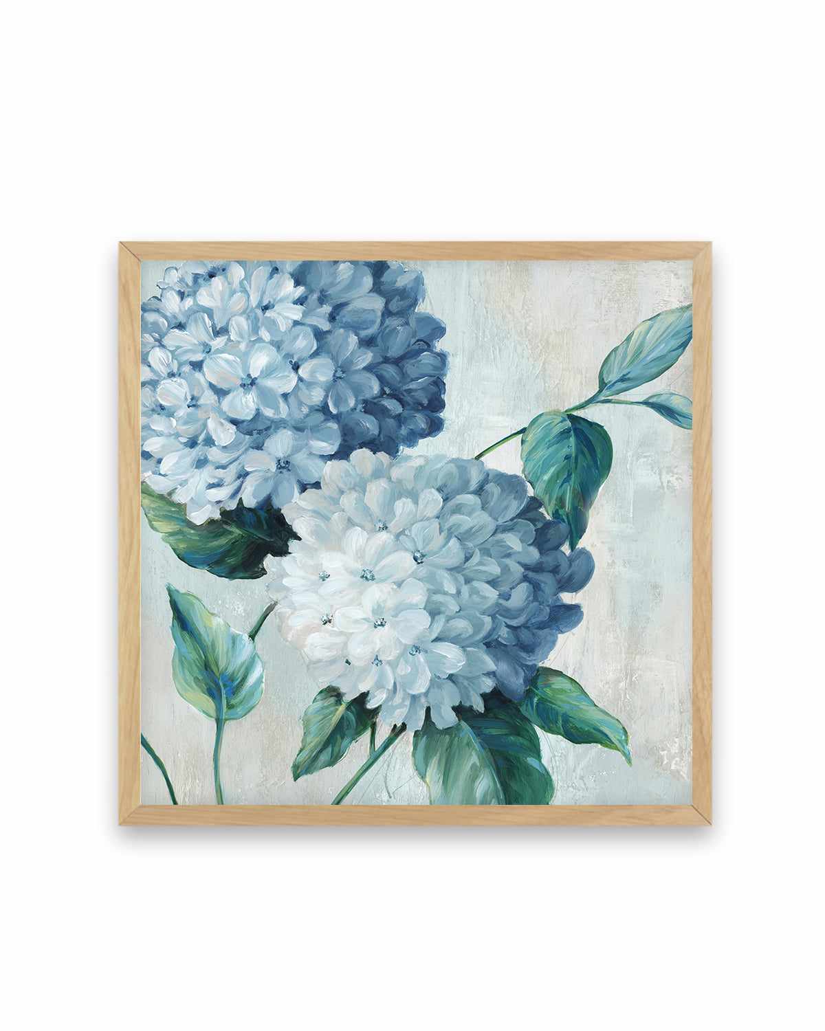 Blue Hydrangea Blooms II Art Print