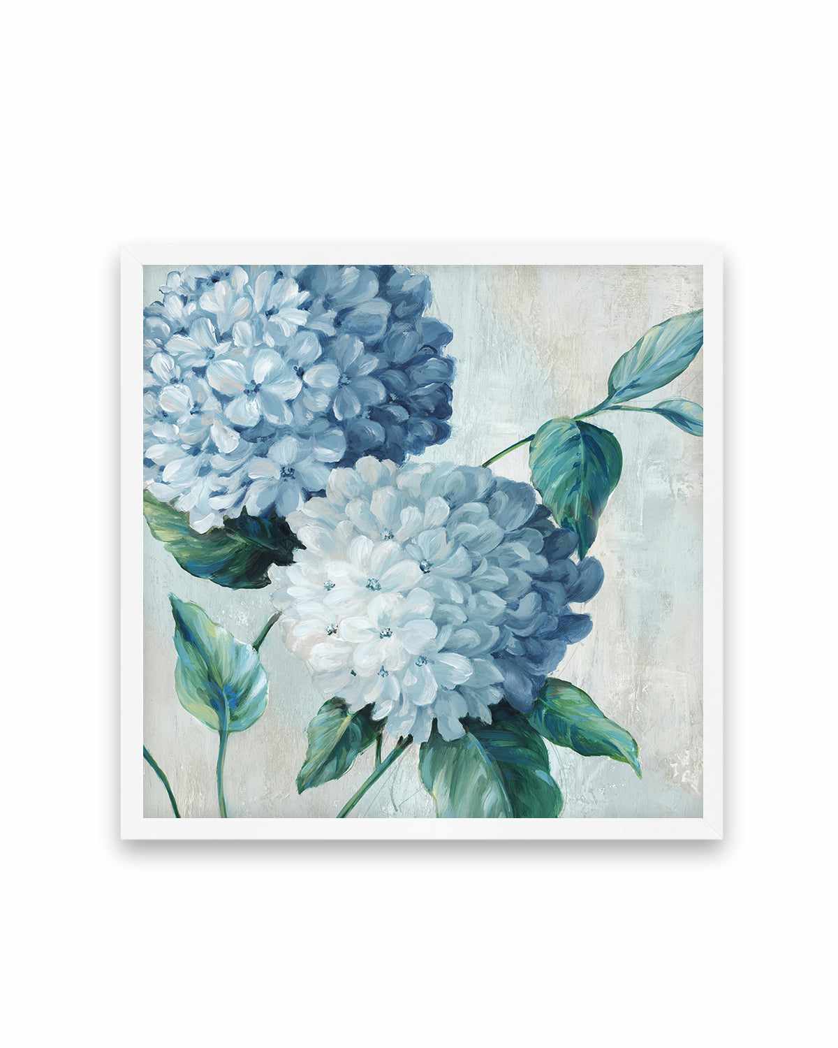 Blue Hydrangea Blooms II Art Print