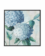 Blue Hydrangea Blooms II | Framed Canvas Art Print