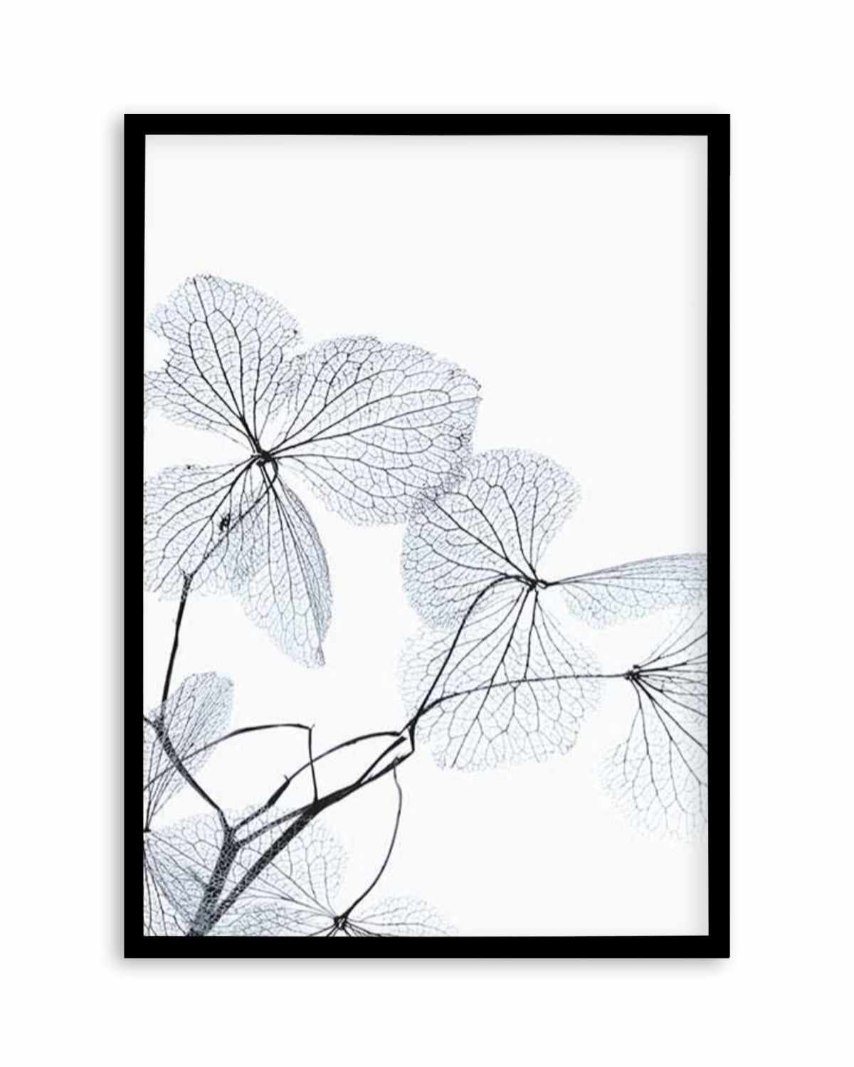 Blue Leaves I Art Print