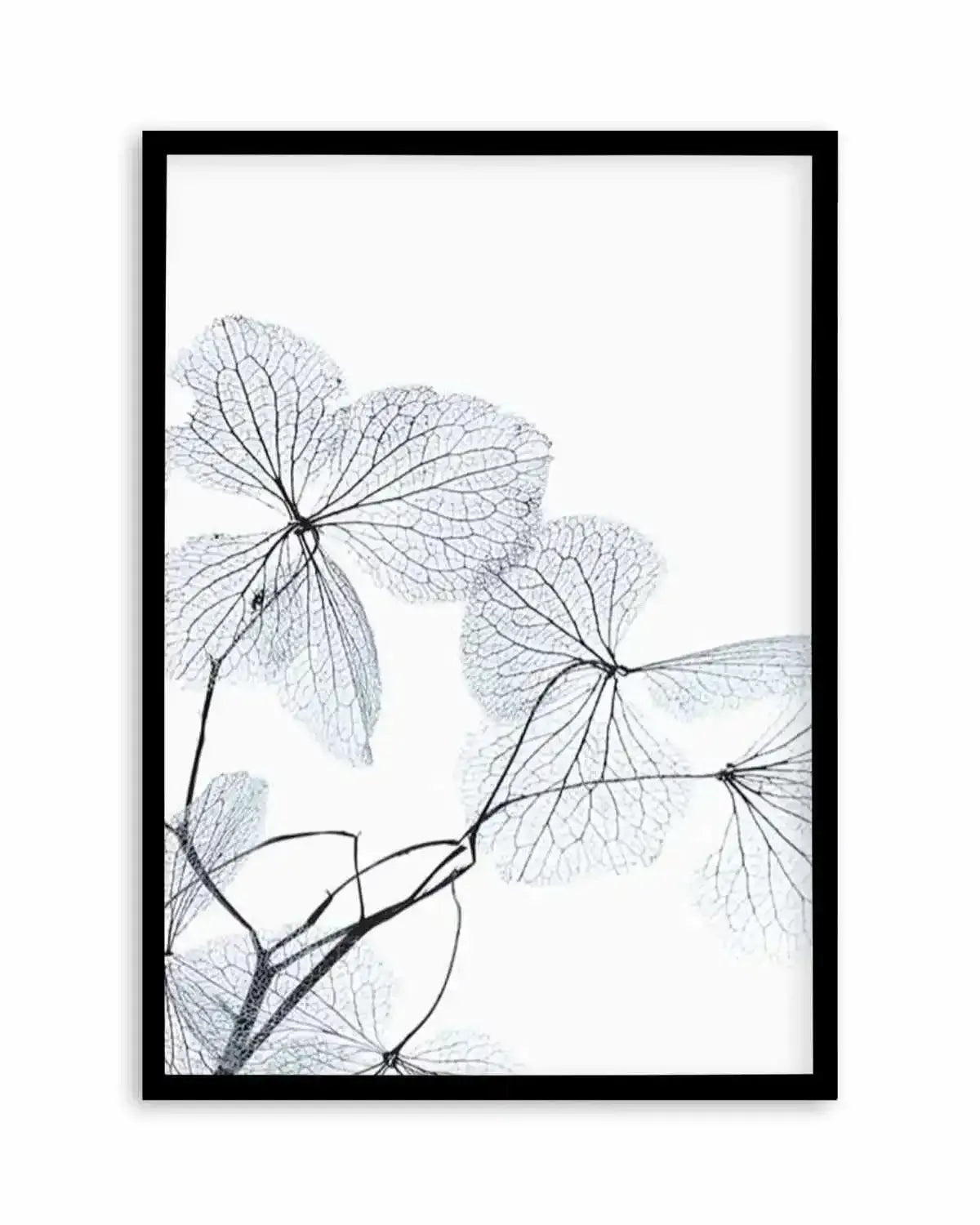 Blue Leaves I Art Print from Olive et Oriel where you can shop wallpaper and artworks online