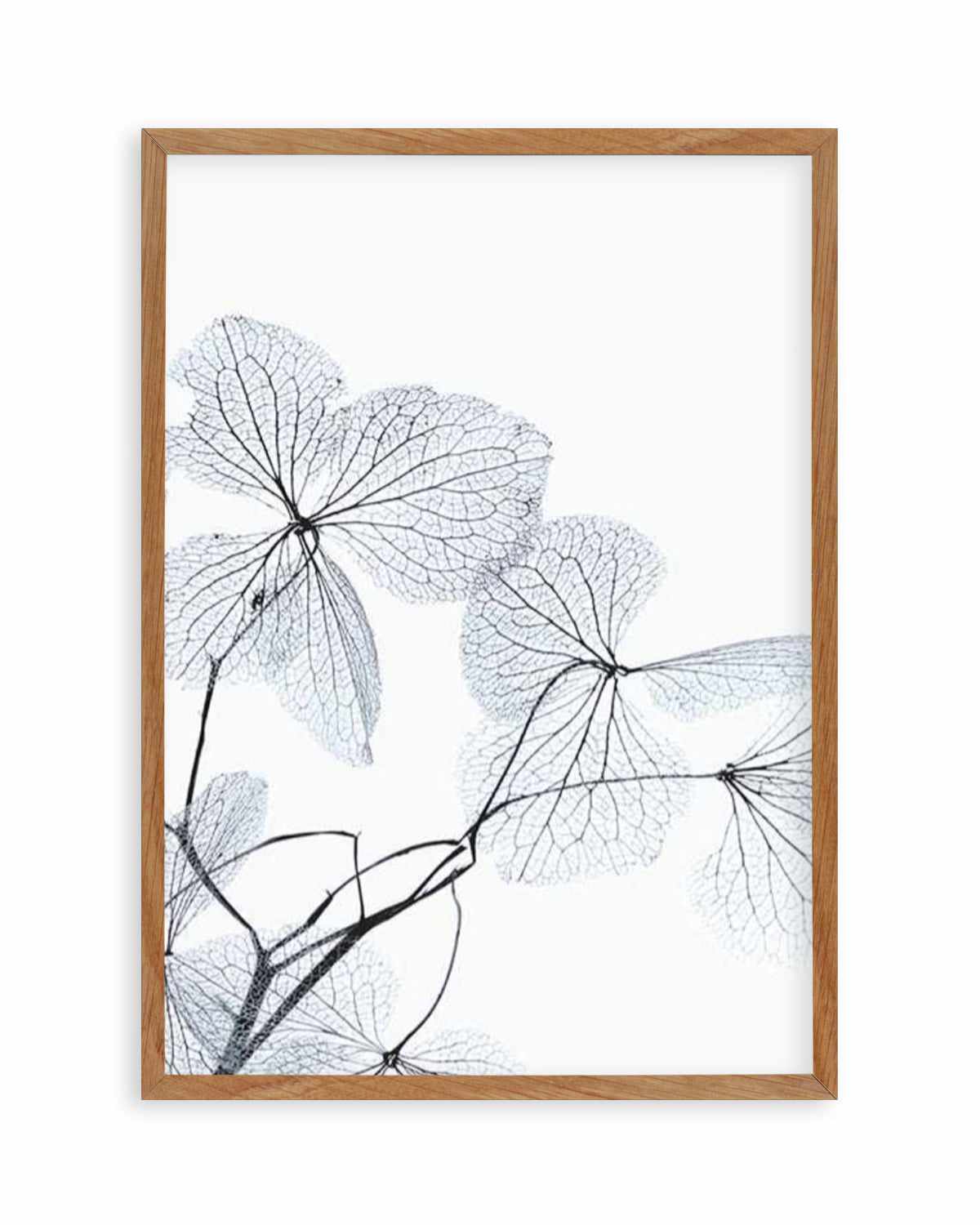 Blue Leaves I Art Print