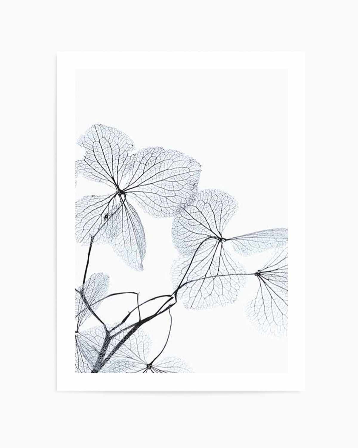 Blue Leaves I Art Print