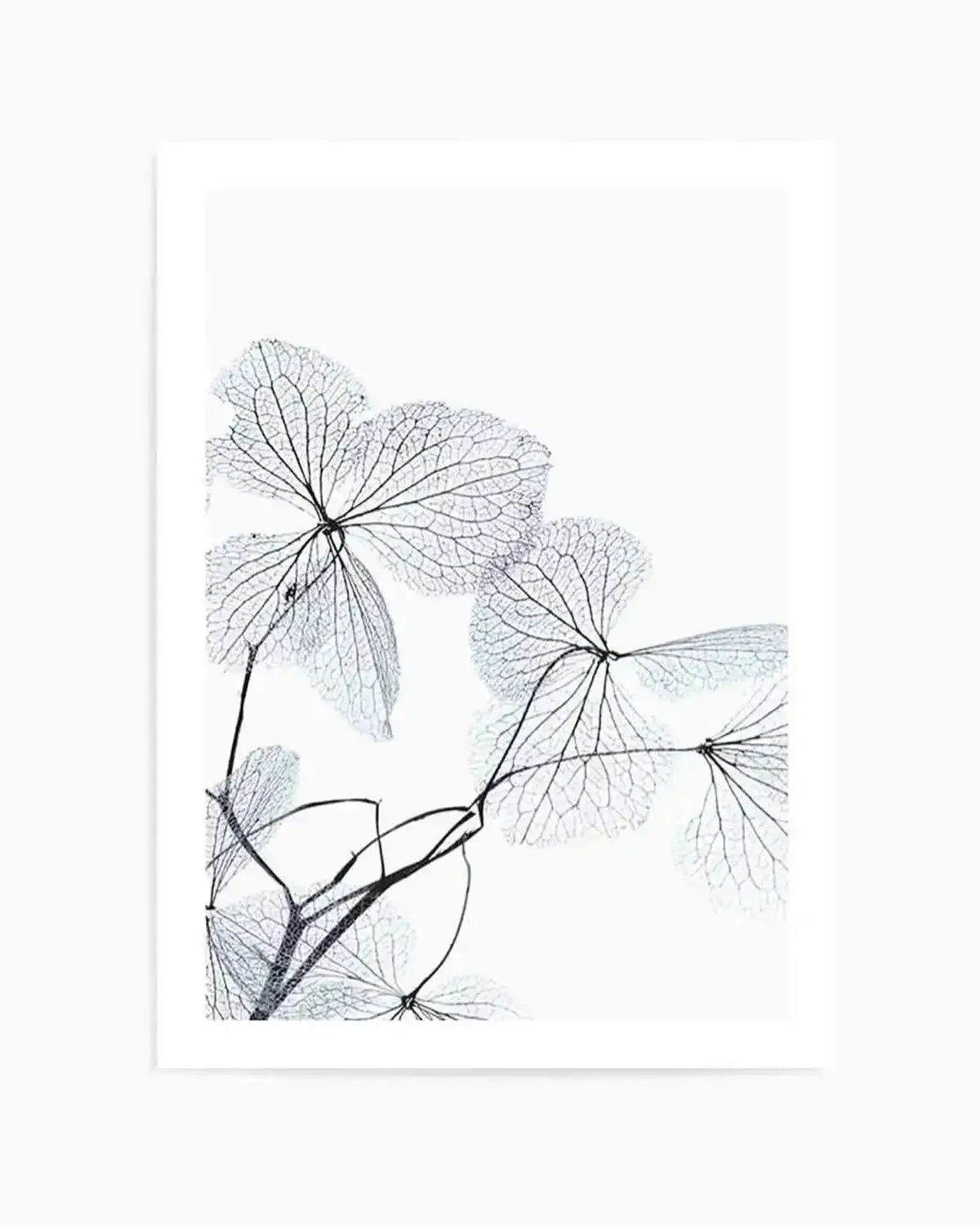 Blue Leaves I Art Print from Olive et Oriel where you can shop wallpaper and artworks online
