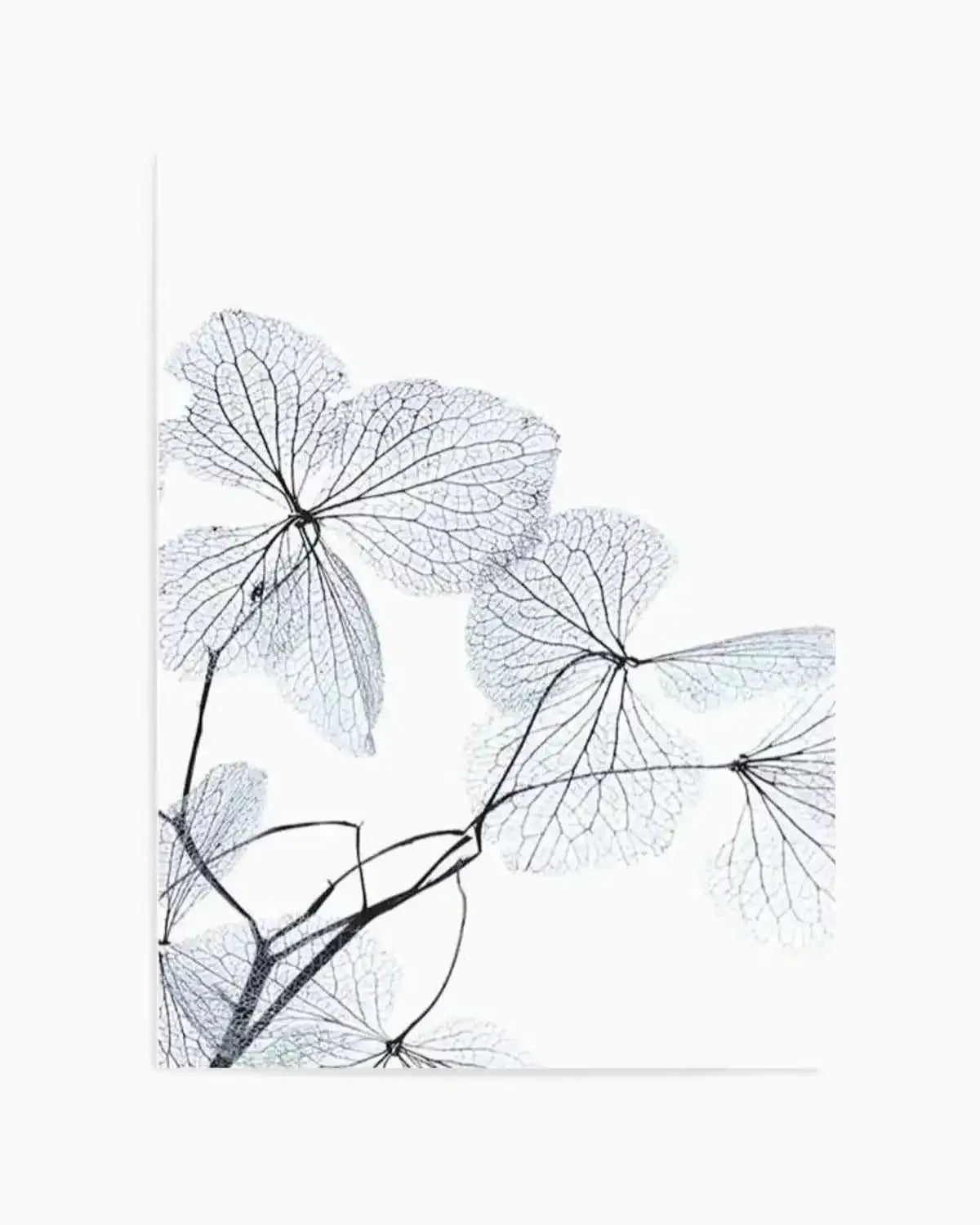 Blue Leaves I Art Print from Olive et Oriel where you can shop wallpaper and artworks online