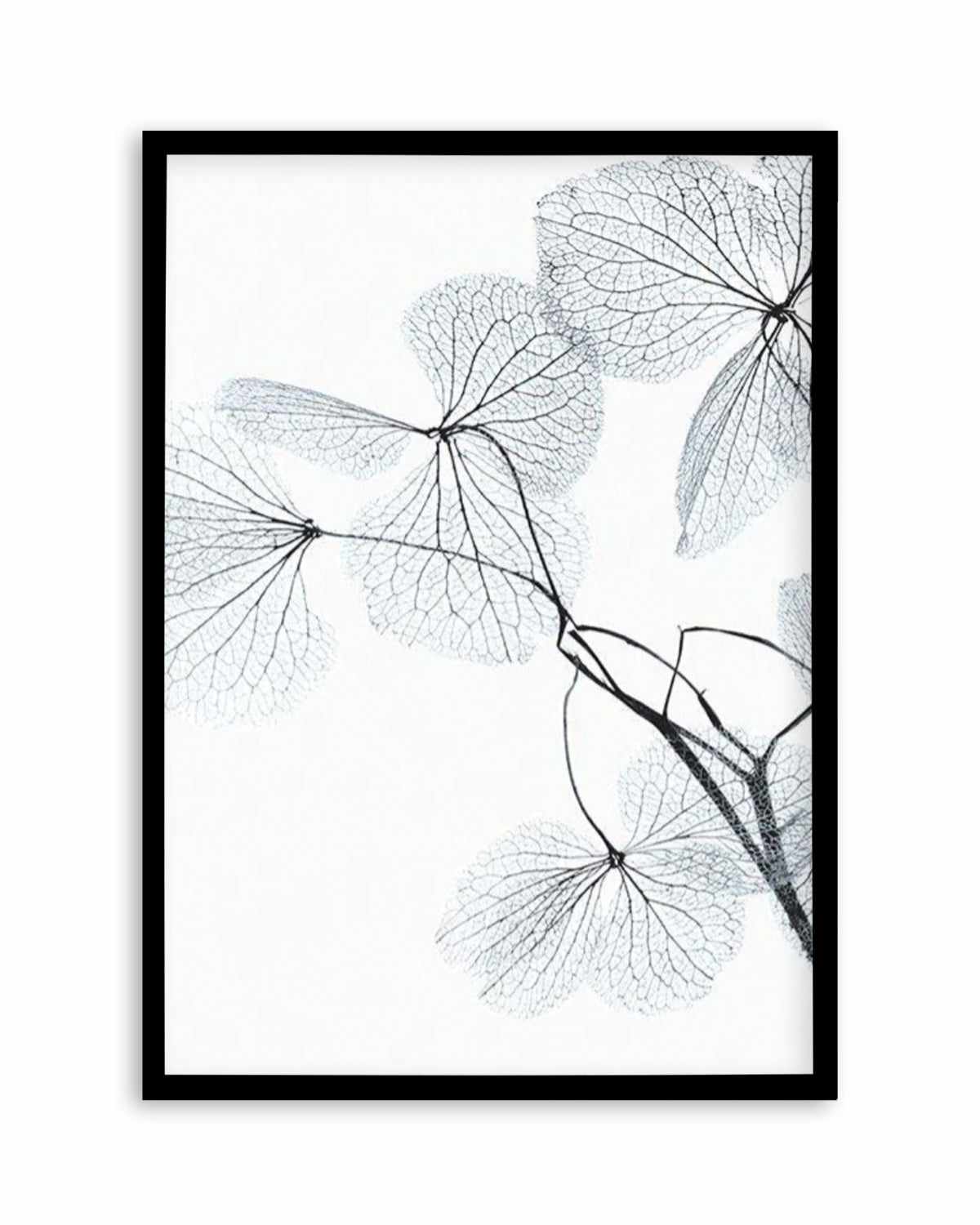 Blue Leaves II Art Print