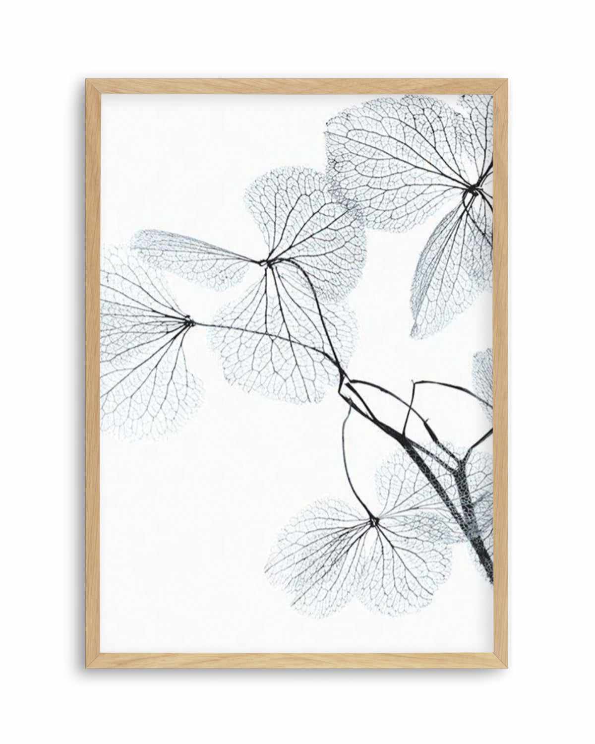 Blue Leaves II Art Print