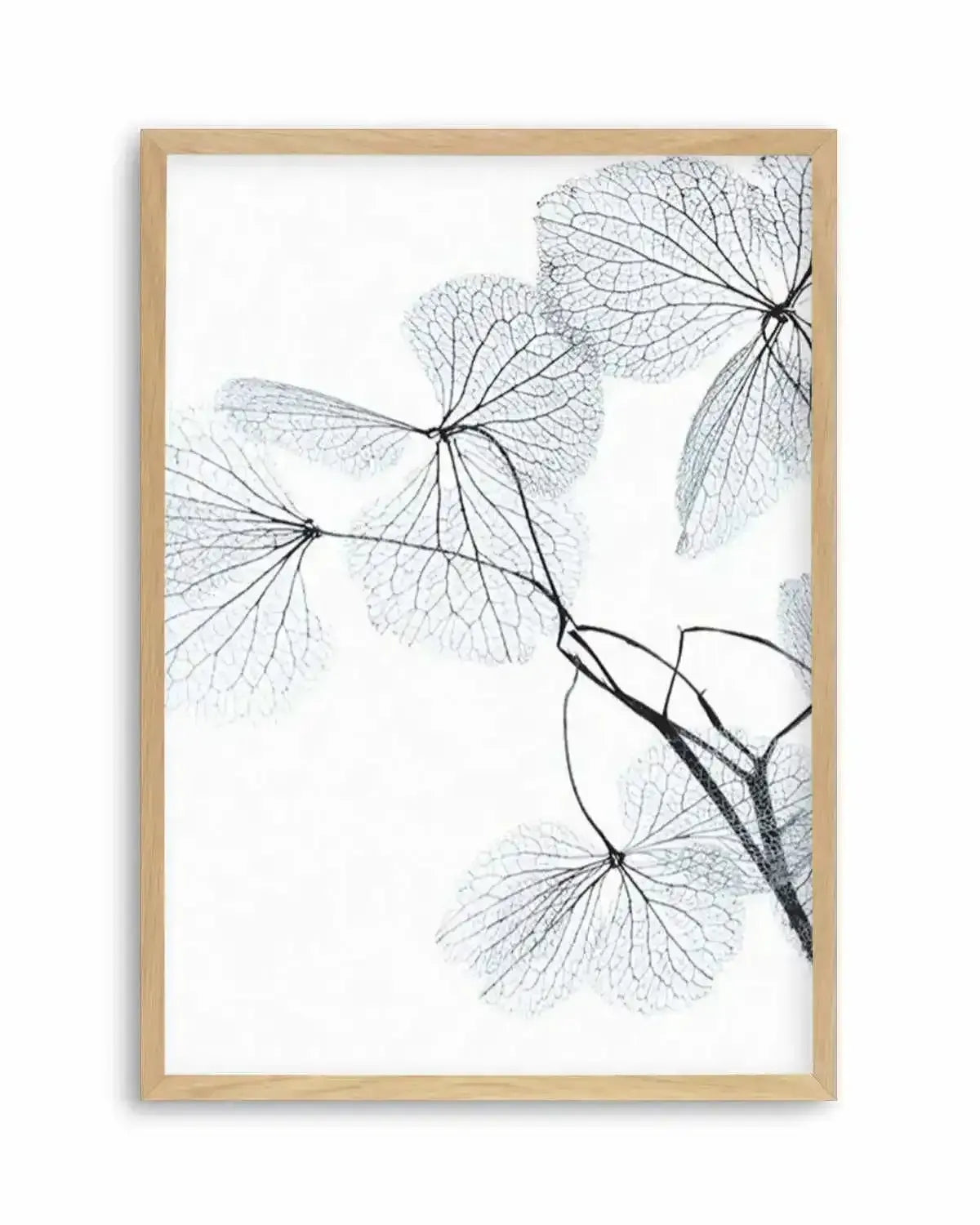 Blue Leaves II Art Print from Olive et Oriel where you can shop wallpaper and artworks online