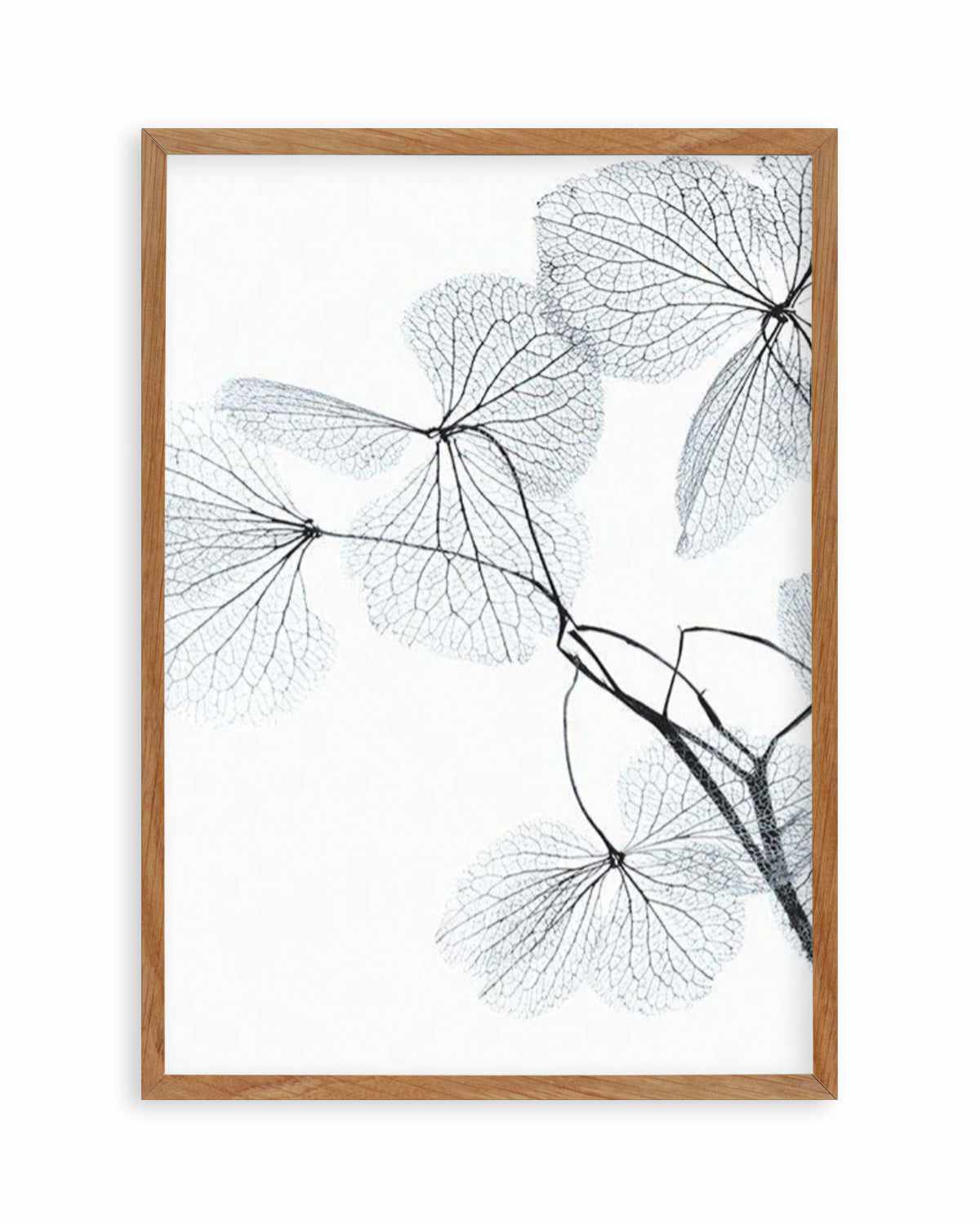 Blue Leaves II Art Print