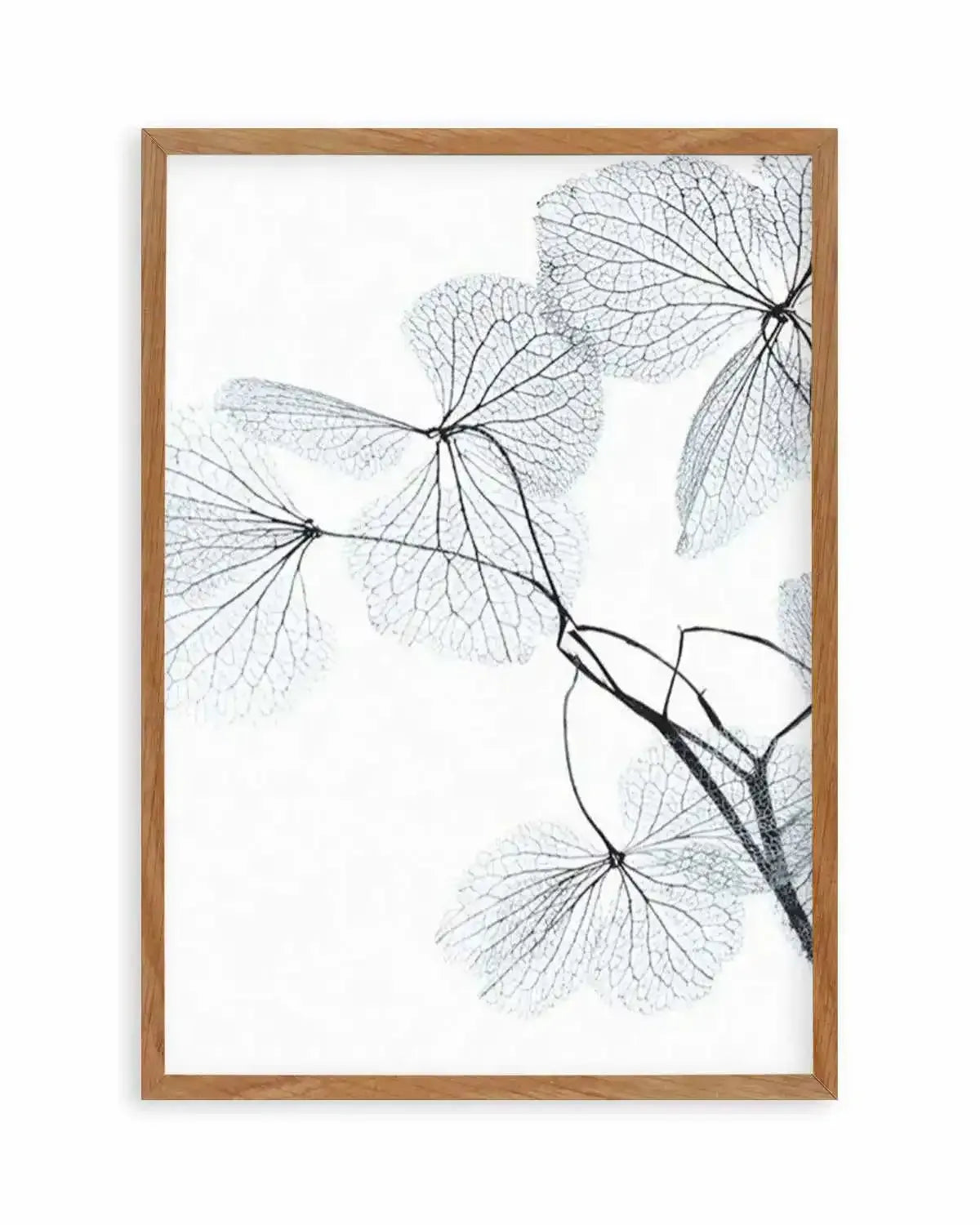 Blue Leaves II Art Print from Olive et Oriel where you can shop wallpaper and artworks online