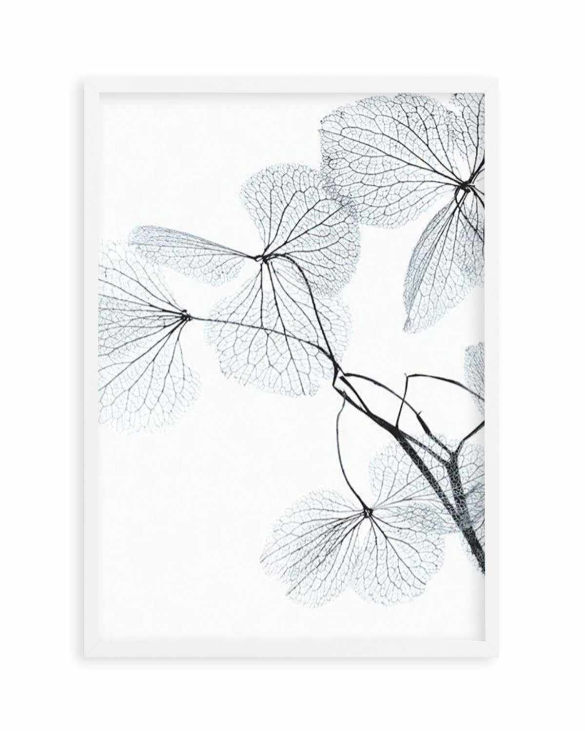 Blue Leaves II Art Print