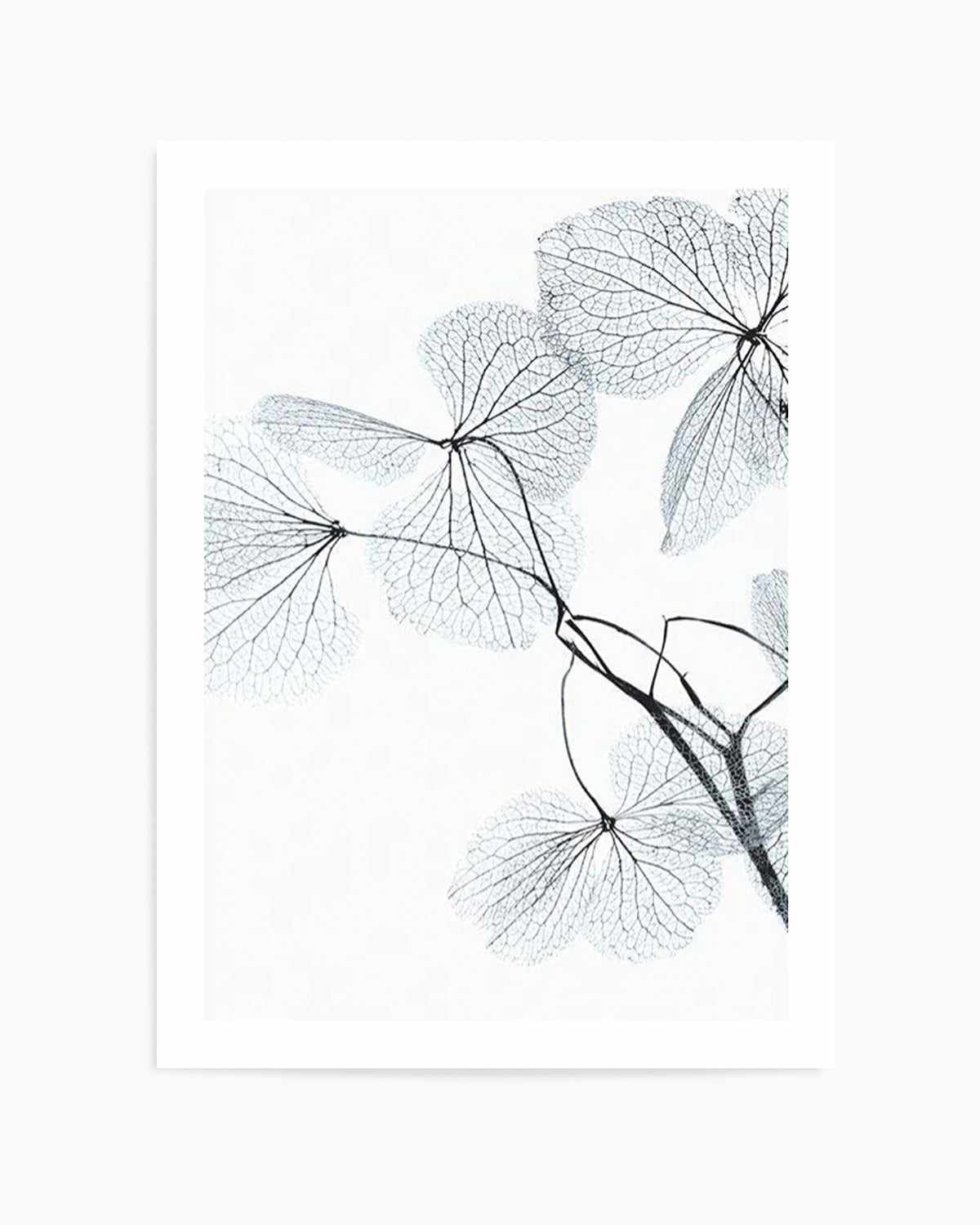 Blue Leaves II Art Print