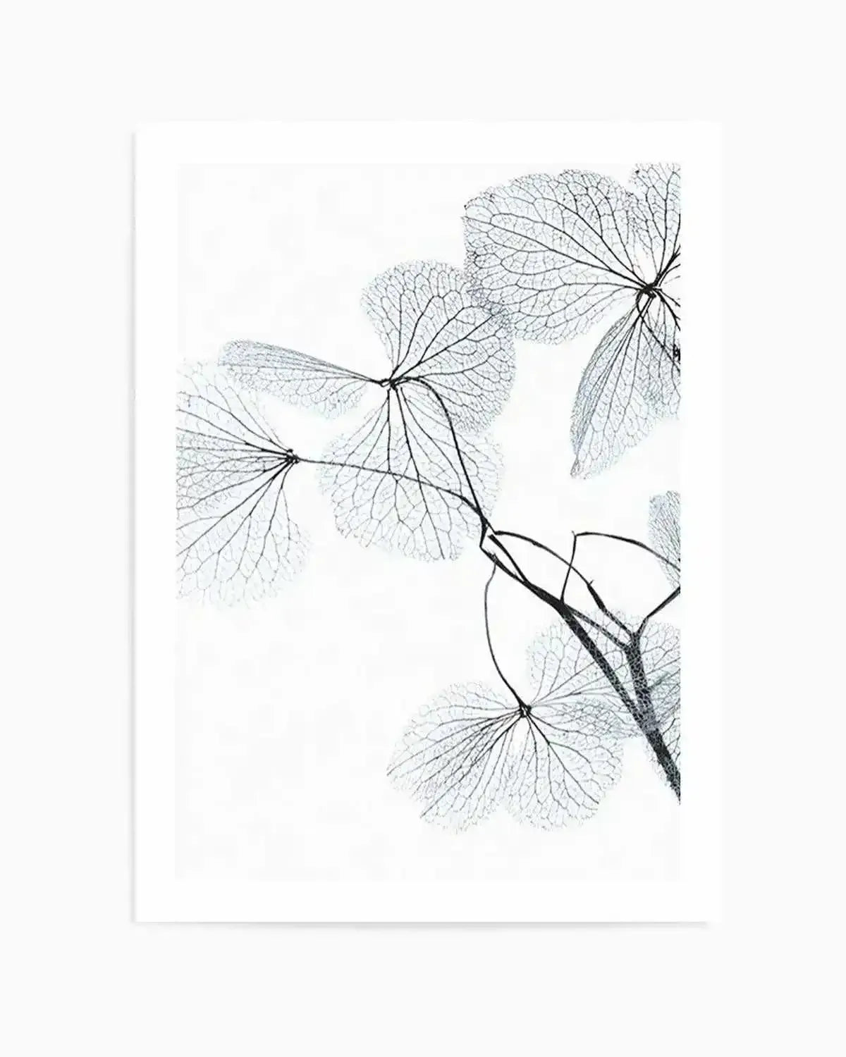 Blue Leaves II Art Print from Olive et Oriel where you can shop wallpaper and artworks online