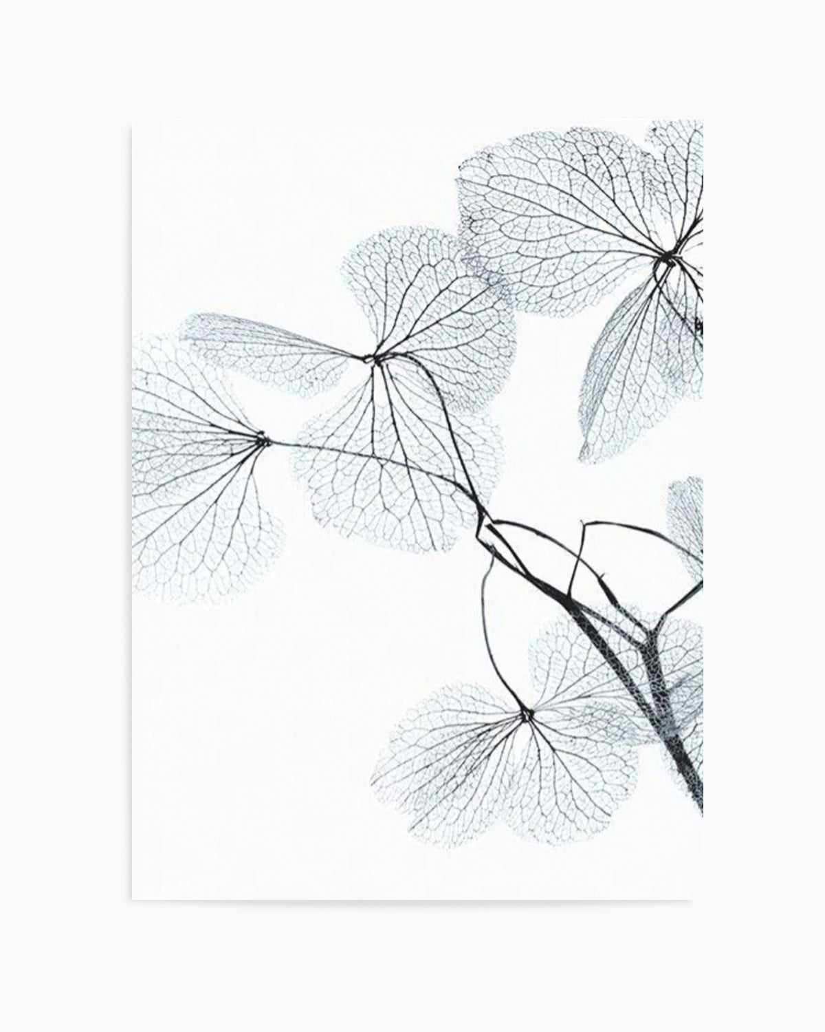 Blue Leaves II Art Print