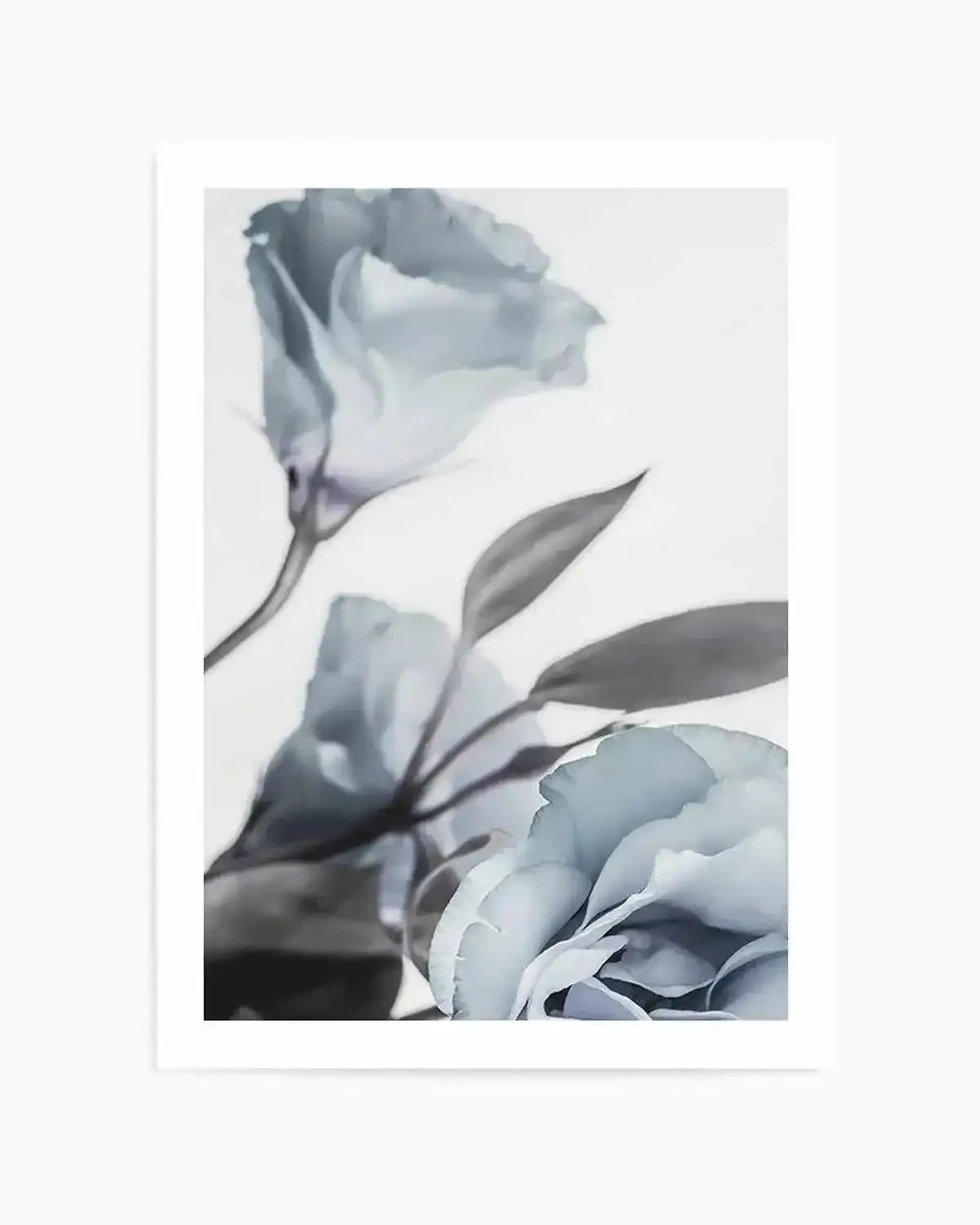 Blue Lisianthus I Art Print from Olive et Oriel where you can shop wallpaper and artworks online