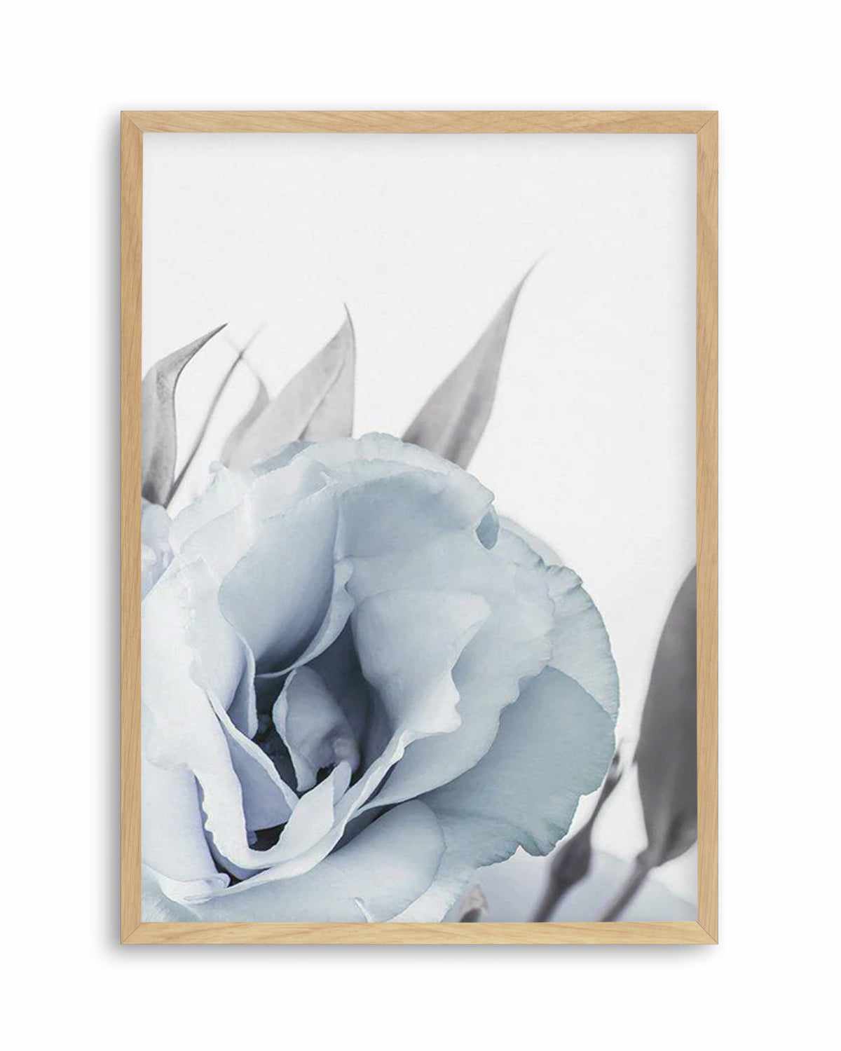 Blue Lisianthus III Art Print