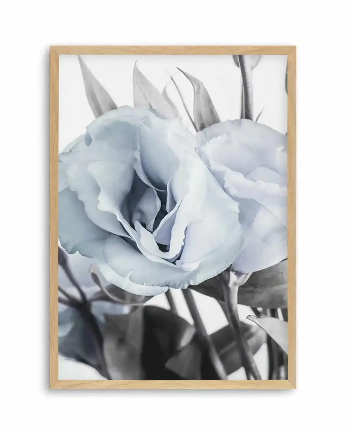 Blue Lisianthus IV Art Print from Olive et Oriel where you can shop wallpaper and artworks online