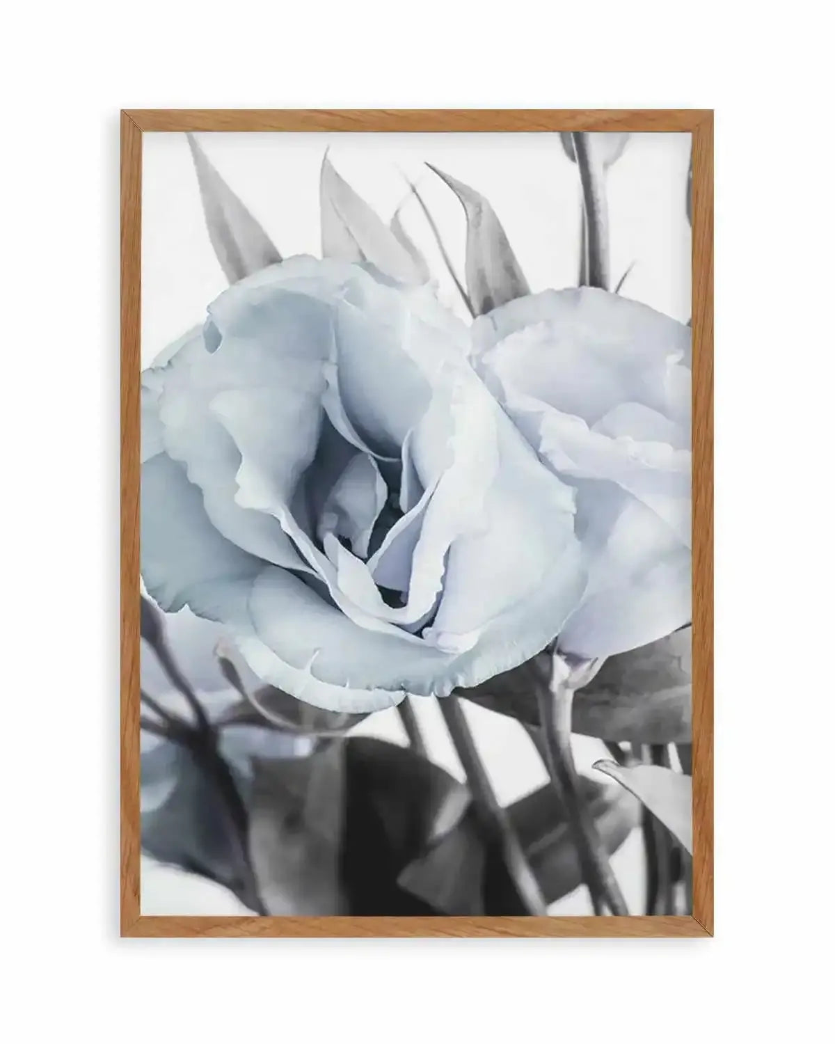 Blue Lisianthus IV Art Print from Olive et Oriel where you can shop wallpaper and artworks online